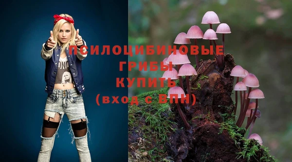 а пвп мука Вяземский